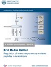 Buchcover Regulation of stress responses by sulfated peptides in Arabidopsis