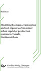 Buchcover Modelling biomass accumulation and soil organic carbon under urban vegetable production systems in Tamale, Northern Ghan
