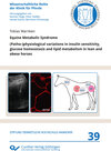Buchcover Equine Metabolic Syndrome