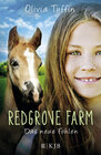 Buchcover Redgrove Farm – Das neue Fohlen