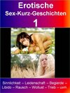 Buchcover Erotische Sex-Kurz-Geschichten 1
