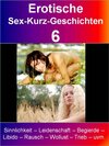 Buchcover Erotische Sex-Kurz-Geschichten 6