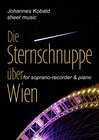 Buchcover Die Sternschnuppe über Wien