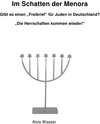 Buchcover Im Schatten der Menora - Gibt es einen „Freibrief“ für Juden in Deutschland?-