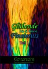 Buchcover Götterzorn - Die Chroniken des Olymp I / Glühende Finsternis