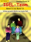 Buchcover IGEL-Team Sammelband 4