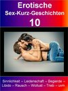 Buchcover Erotische Sex-Kurz-Geschichten 10