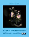 Buchcover Water Crystals, Messages of the Souls