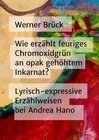 Buchcover Wie erzählt feuriges Chromoxidgrün an opak gehöhtem Inkarnat? Lyrisch-expressive Erzählweisen bei Andrea Hano