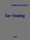 Buchcover Der Findling