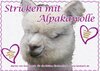 Buchcover Stricken mit Alpakawolle