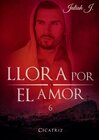 Buchcover Llora por el amor 6