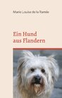 Buchcover Ein Hund aus Flandern