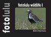 Buchcover fotolulu wildlife I