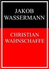 Buchcover Christian Wahnschaffe