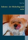 Buchcover Sokrates - der Mickerling wird weise