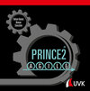 Buchcover Prince2 Agile