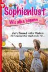 Buchcover Sophienlust, wie alles begann 2 - Familienroman / Sophienlust, wie alles begann Bd.2