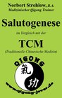 Buchcover Salutogenese im Vergleich mit der TCM (Traditionelle Chinesische Medizin)