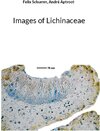 Buchcover Images of Lichinaceae