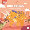 Buchcover Meine kleinen Dinogeschichten – Triceratops will nicht teilen!