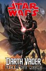 Buchcover Star Wars Comics: Darth Vader (Ein Comicabenteuer): Brennende Meere
