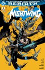 Buchcover Nightwing