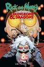 Buchcover Rick and Morty vs. Dungeons & Dragons