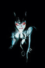 Buchcover Catwoman Anthologie