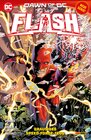 Buchcover Flash