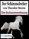 Buchcover Der Schimmelreiter von Theodor Storm
