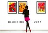Buchcover Bluebird 2017 Barcelona