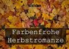 Buchcover Kalender zum Selberdrucken – Farbenfrohe Herbstromanze Wochenkalender 2017