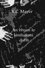 Buchcover An bhean le lámhainní dubh