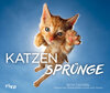 Buchcover Katzensprünge