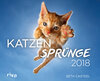 Buchcover Katzensprünge 2018