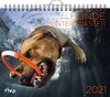 Buchcover Hunde unter Wasser 2021