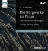 Buchcover Die Bergwerke zu Falun und andere Erzählungen
