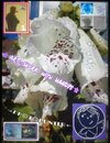 Buchcover ART¿WoRK_with_HANDYs (1)