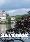 Buchcover Salzinge