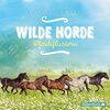 Buchcover Wilde Horde 2: Pferdeflüstern