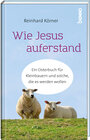 Buchcover Wie Jesus auferstand