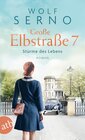 Buchcover Große Elbstraße 7 – Stürme des Lebens