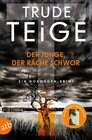 Buchcover Der Junge, der Rache schwor