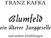 Buchcover Blumfeld ein älterer Junggeselle