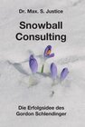 Buchcover Snowball Consulting