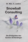 Buchcover Snowball Consulting / tredition
