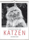 Buchcover Katzen - Literarisch durchs Jahr 2026