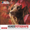 Buchcover Hundefotografie