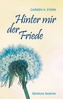 Buchcover Hinter mir der Friede
